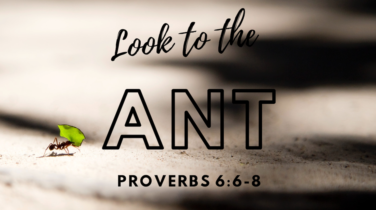 Preparing for the Summer (Part 1)