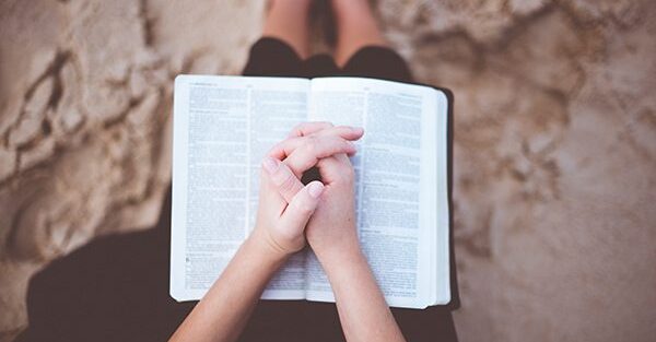 Preparing for the Summer (Part 2)